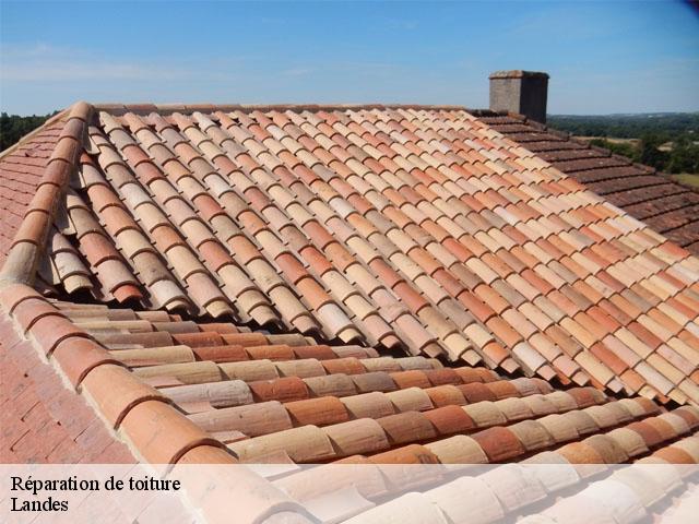 Réparation de toiture 40 Landes  FARGIER Couverture