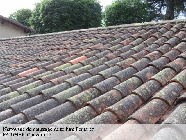 Nettoyage demoussage de toiture  pomarez-40360 FARGIER Couverture