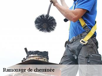 Ramonage de cheminée  trensacq-40630 FARGIER Couverture