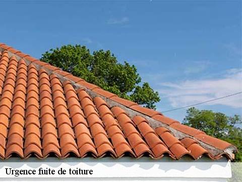 Urgence fuite de toiture  monsegur-40700 FARGIER Couverture